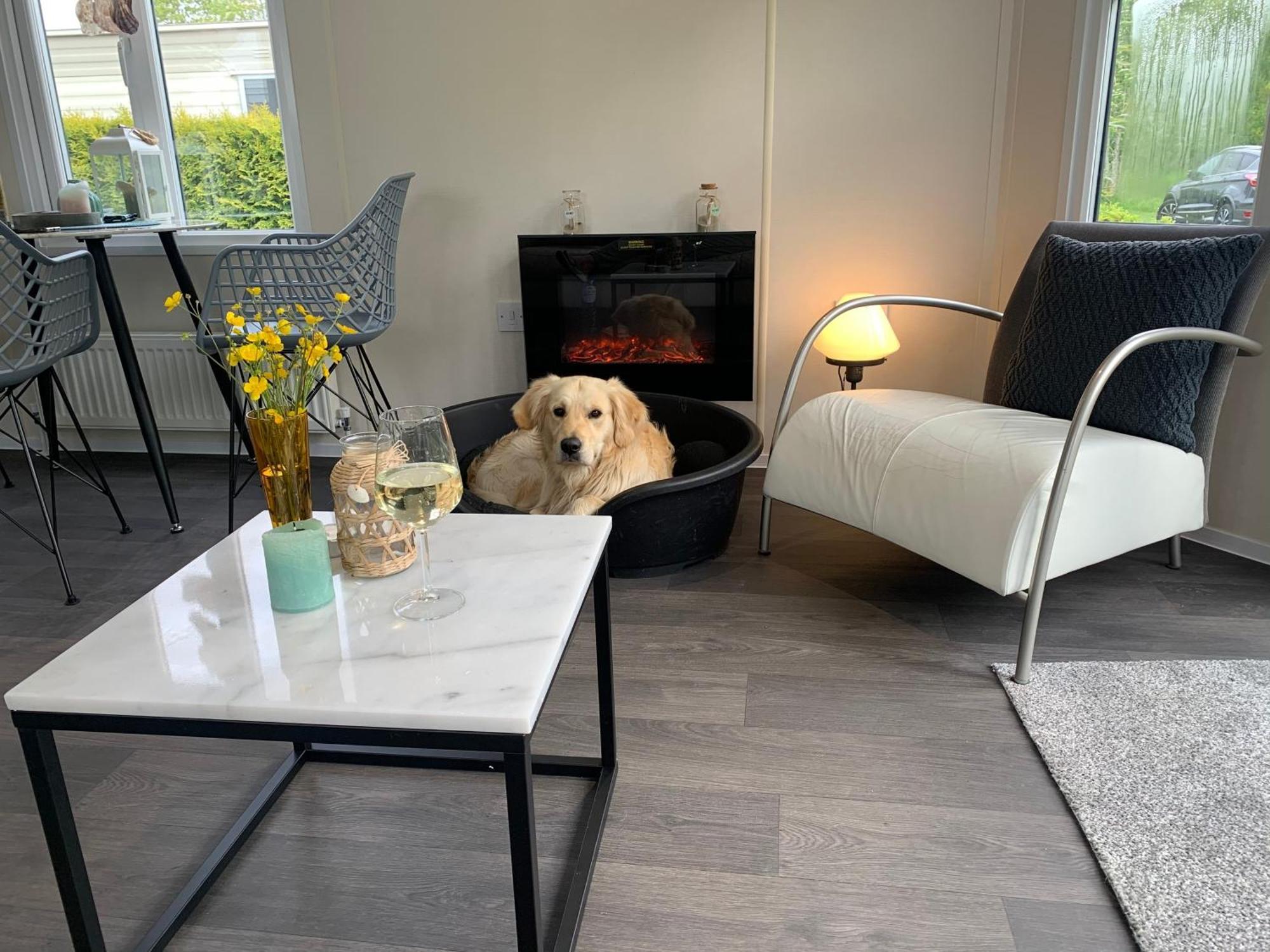 Natur Pur, O4 Neues Ferienhaus Natureingebunden, Familien- Und Hundefreundlich Eingezaeunt Callantsoog Εξωτερικό φωτογραφία